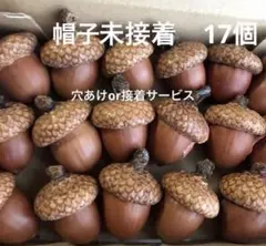 ぞう様 リクエスト 2点 まとめ商品