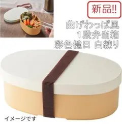 新品1段ランチボックス！曲げわっぱ風弁当箱 彩色健日 白練り 500ｍLのサムネイル