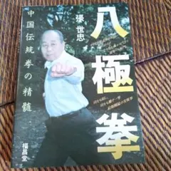 鉄砂掌 中国拳法・必殺秘伝 龍 清剛著 - メルカリ