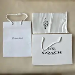 Item thumbnail for item 4006ffc1-6427-4449-962e-28fff16da6a1