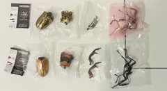 いきもの大図鑑くわがた08 09アラガールホソアカクワガタ モセリオウゴンオニ