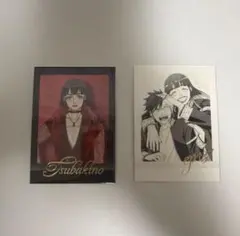 WINDBREAKER ぱしゃこれ