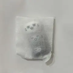 SEVENTEEN MINITEEN ジュン マグネット