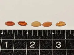 オパールルースまとめ売り5個