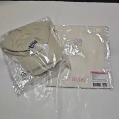 Item thumbnail for item 80b95cbc-134a-4733-975c-3a896e1bdbe6