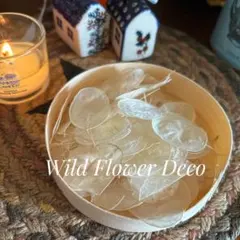 Item thumbnail for item 495fed68-67b0-4696-a573-d0eed2879dc7