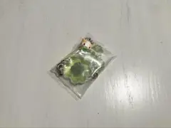 みう様 リクエスト 2点 まとめ商品