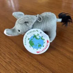 Item thumbnail for item c191bc44-e6fe-416d-8b51-a7e8f53cb590