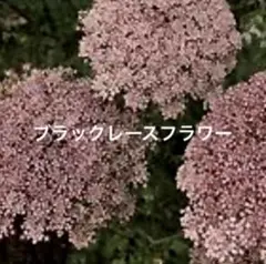 みち様 リクエスト 4点 まとめ商品のサムネイル