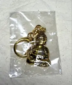 空海と真言の名宝 アクリルキーホルダー 金剛吼菩薩 東博 - メルカリ