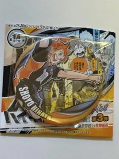 ハイキュー缶バッジ　MEMORIES第3弾　烏野高校vs音駒高校　 日向翔陽