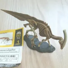 接着済！ 海洋堂 チョコラザウルス 第1弾 パラサウロロフス（骨格）