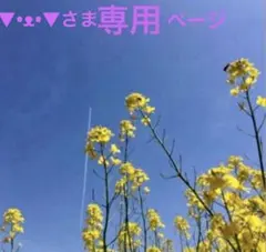 ▼•ᴥ•▼さま専用ページ