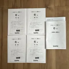 2025年最新】sapix マンスリーテスト 6年の人気アイテム - メルカリ