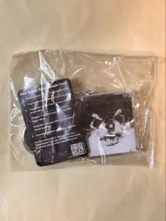 BTS V テテ　テヒョン　カプセルアルバム Layover