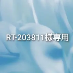 RT-203811様専用