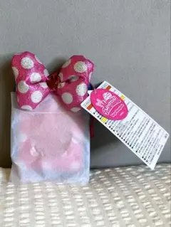 ディズニーパルパルーザ　ミニーのファンダーランド　カードホルダー