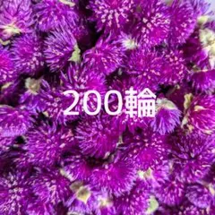 Item thumbnail for item c19c63ef-9eed-4216-a4a9-d12b0ec953f0