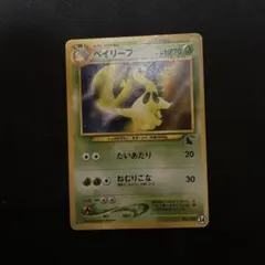 ベイリーフ旧裏イントロパックチコリータマーク