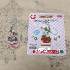 シルバニアファミリー 赤ちゃんアクリルキーチェーン-いちご- 2つセット