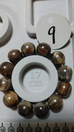 Item thumbnail for item 24728737-9510-46da-a318-29064546069c