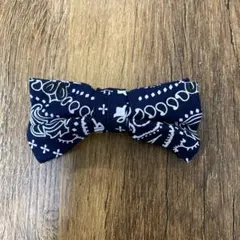 Item thumbnail for item 0129e975-b870-4d87-9c02-164ca9560c20