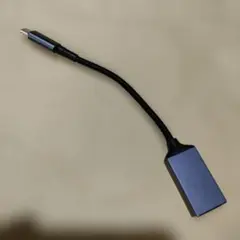 141C Thinkpad AC電源 変換アダプター 変換プラグ Type-C