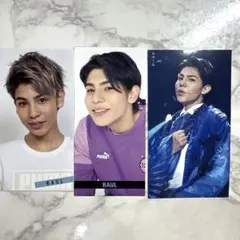 ラウールデータカード3枚セット