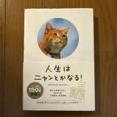 人生はニャンとかなる！