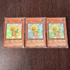 遊戯王 ダンディライオン 3枚 ウルトラ 3589