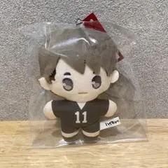 ハイキュー　ぬいぐるみ　キーホルダー ダイソー 宮治