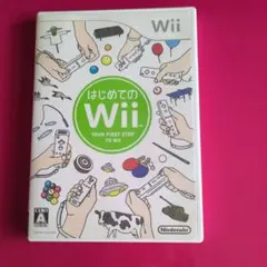 はじめてのWii