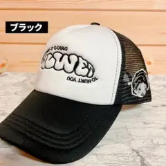 メッシュキャップ y2k ストリート　hiphop 帽子　スケーター　アメカジ