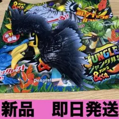 ジャングル&co. アンドコ　オオサイチョウ