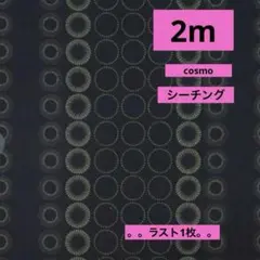 cosmo★シーチング★アジアン水玉ストライプ★ブラックラスト2枚