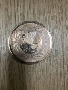 国連記念メダル　フランクリンミント　(ネックチェーン付き) 国連記念メダル フランクリンミント (ネックチェーン付き