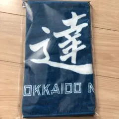 あっちゃん45様 リクエスト 2点 まとめ商品