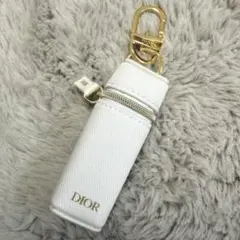 DIOR リップケース　プラチナノベルティ