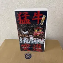 2001年 大阪近鉄バファローズ優勝への軌跡 VHS