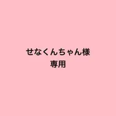 せなくんちゃん様 専用ページ