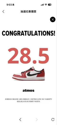 ジョーダン1 スニーカー