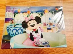 イマジニングザマジック