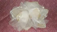 Item thumbnail for item e3a1398b-d9ee-40e0-8f65-cf7e8f343131