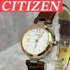 2025年最新】xC 文字盤カラー：ホワイト 腕時計(クォーツ)の人気