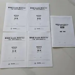 大学受験Gnoble 英語学習資料 2025年度 - メルカリ