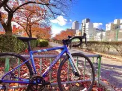 関西大阪 cannondale CAAD13 Tiagra 48のサムネイル