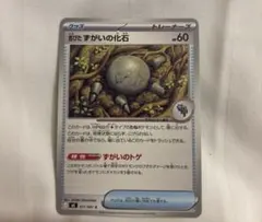 古びたずがいの化石 C 071/081のサムネイル