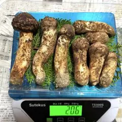 ⑩南信州豊丘産 松茸213g - メルカリ