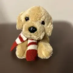 エディーバウアー　犬　ぬいぐるみ