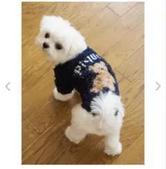 ジェラートピケ　ジェラートスノーベアジャガードプルオーバー　ネイビー　Lサイズ